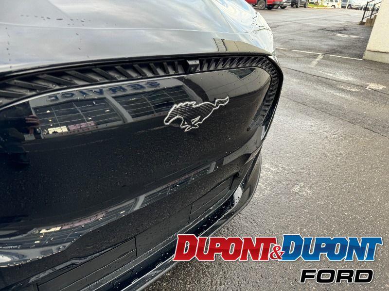 Ford Mustang Mach-e 17