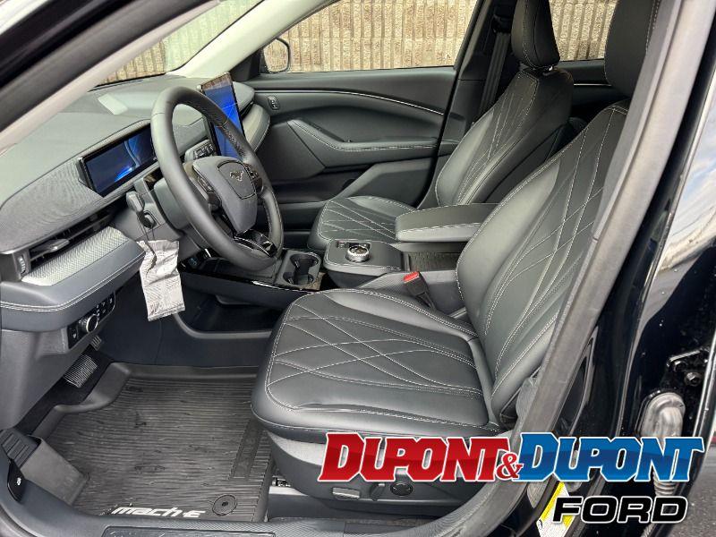 Ford Mustang Mach-e 19