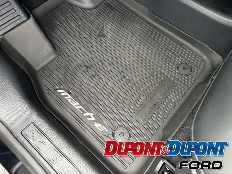 Ford Mustang Mach-e 20