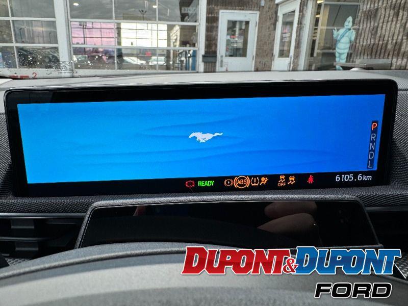 Ford Mustang Mach-e 29