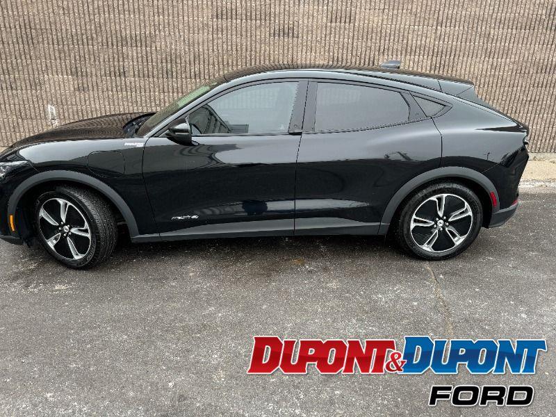 Ford Mustang Mach-e 2