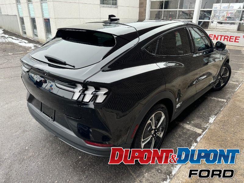 Ford Mustang Mach-e 5