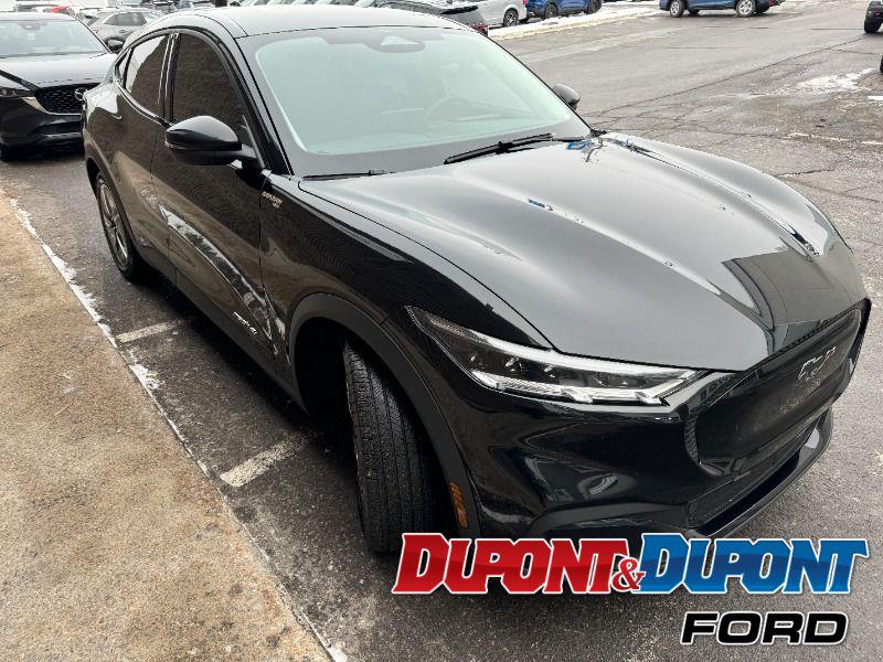 Ford Mustang Mach-e 6