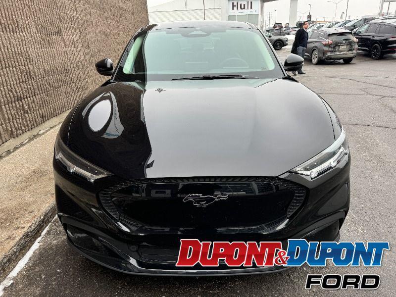 Ford Mustang Mach-e 7