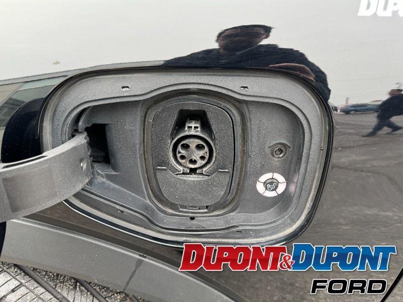 Ford Mustang Mach-e 10