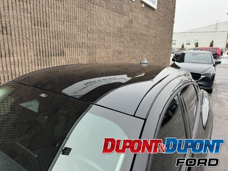 Ford Mustang Mach-e 12