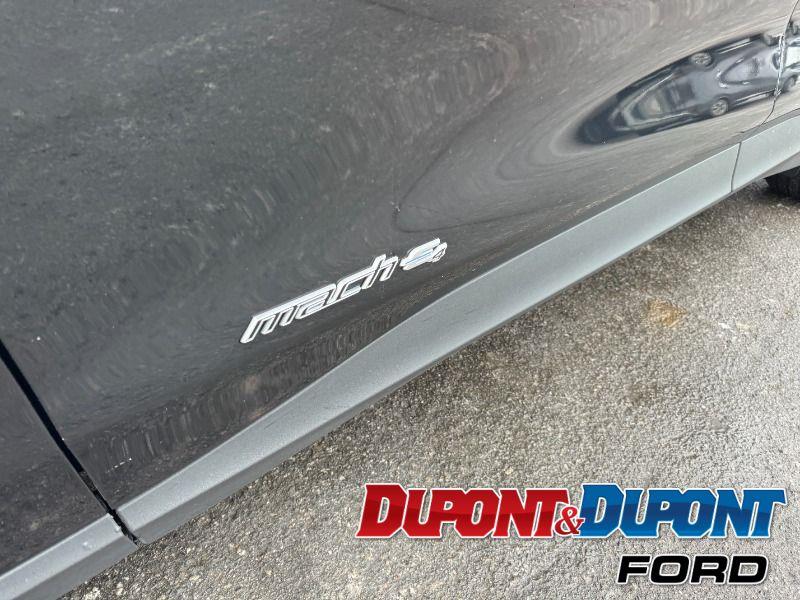 Ford Mustang Mach-e 13