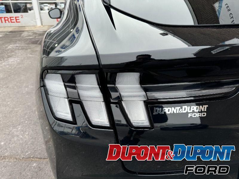 Ford Mustang Mach-e 14