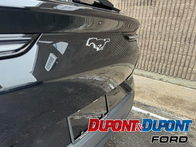 Ford Mustang Mach-e 15