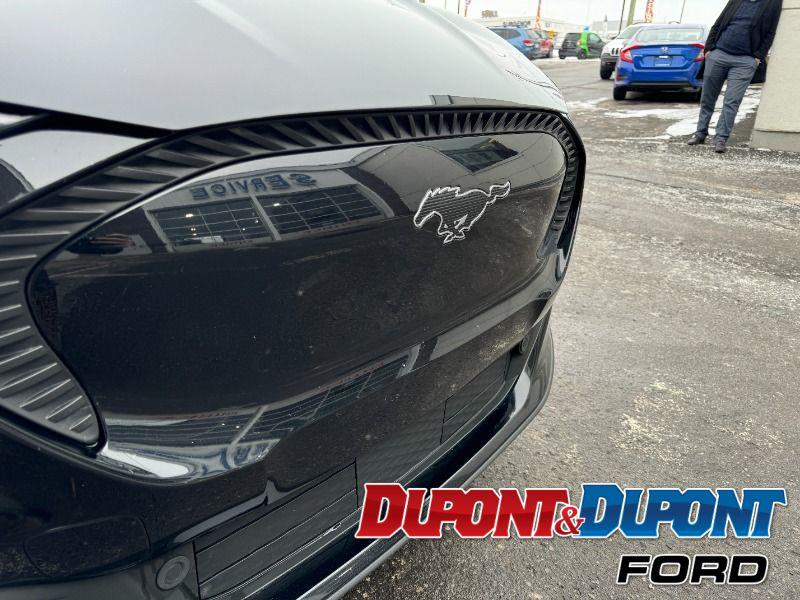 Ford Mustang Mach-e 18