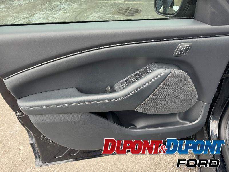 Ford Mustang Mach-e 19