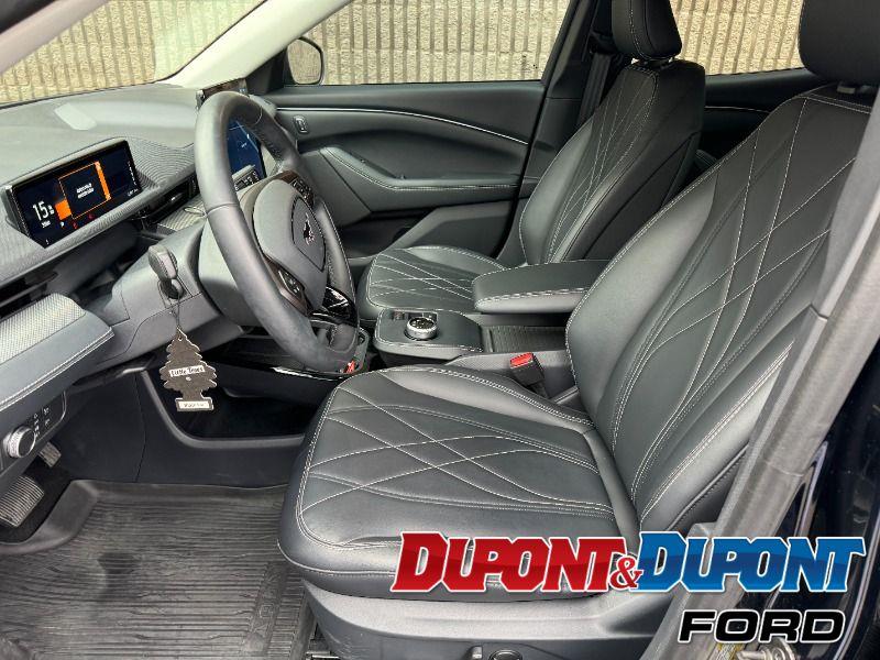 Ford Mustang Mach-e 20