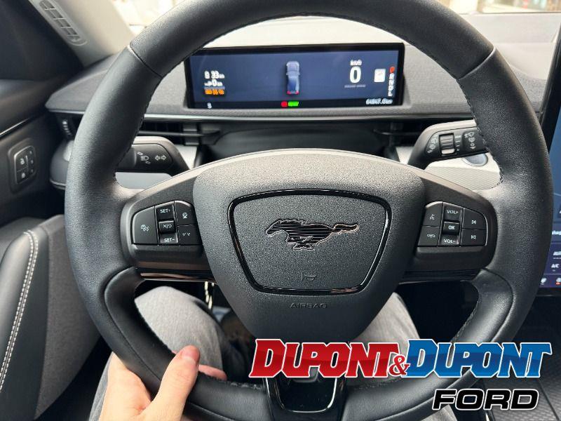 Ford Mustang Mach-e 31