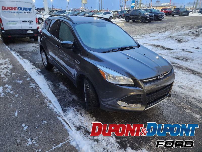 Ford Escape 6