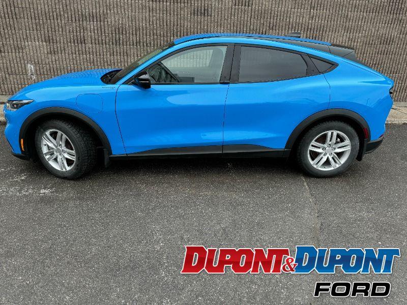 Ford Mustang Mach-e 2