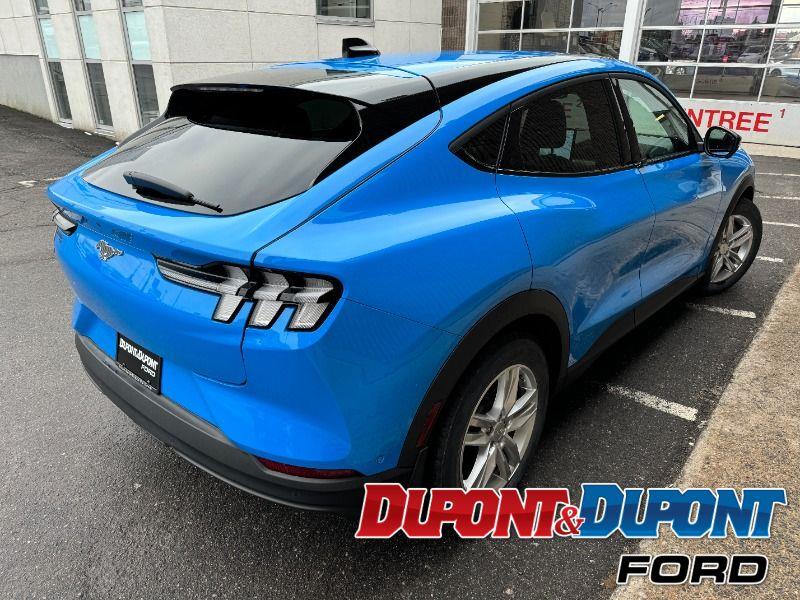 Ford Mustang Mach-e 5