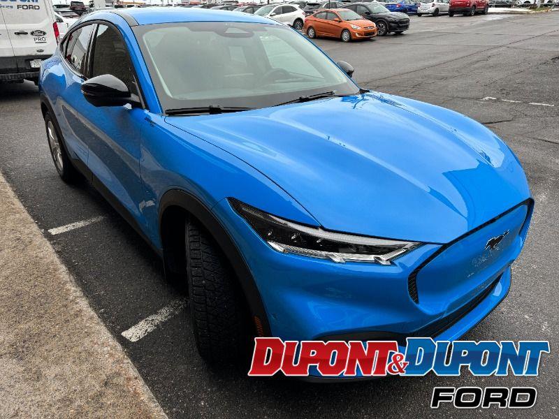 Ford Mustang Mach-e 6