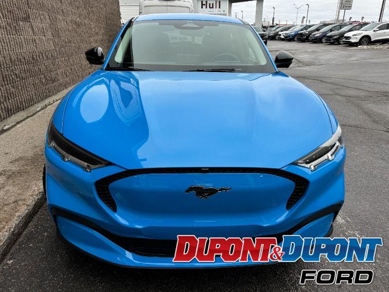 Ford Mustang Mach-e 7