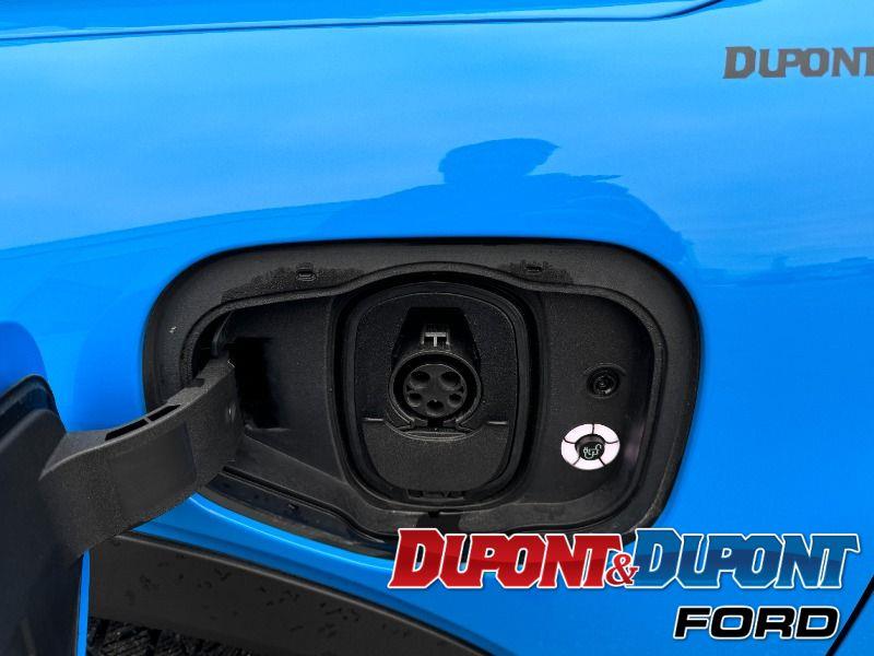 Ford Mustang Mach-e 10