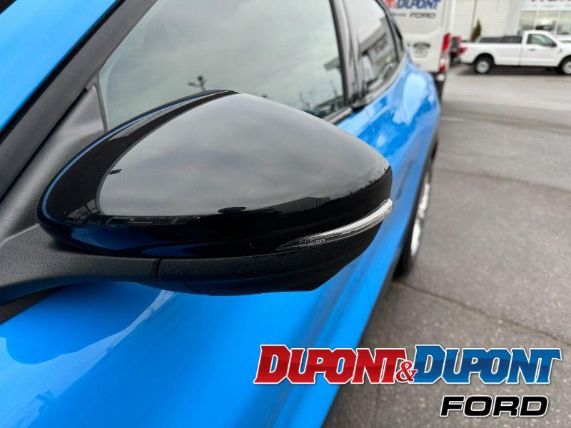 Ford Mustang Mach-e 11