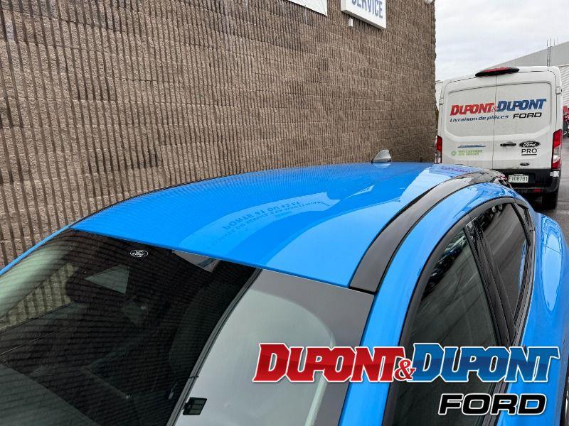 Ford Mustang Mach-e 12