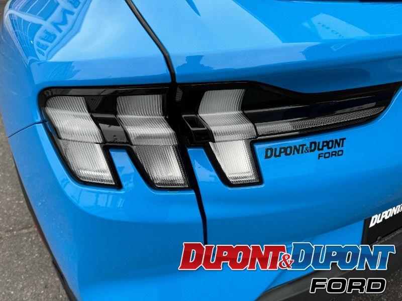 Ford Mustang Mach-e 13