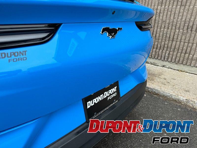 Ford Mustang Mach-e 14