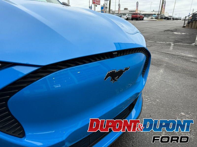 Ford Mustang Mach-e 17