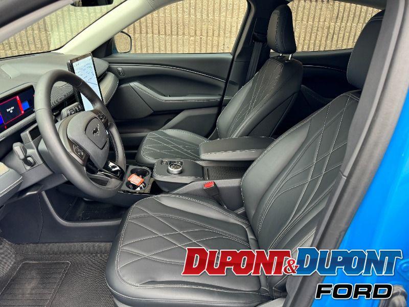 Ford Mustang Mach-e 19