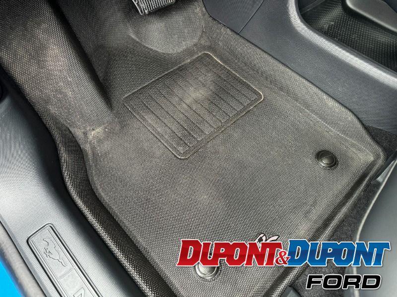 Ford Mustang Mach-e 20