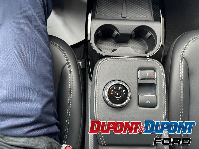 Ford Mustang Mach-e 33