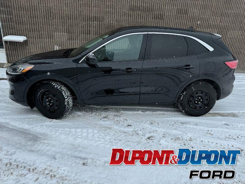 Ford Escape 2
