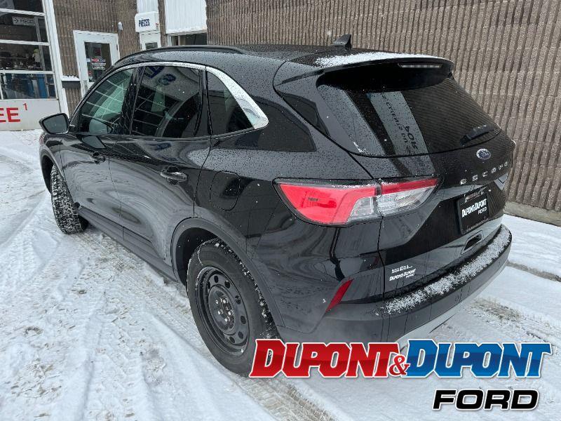 Ford Escape 3