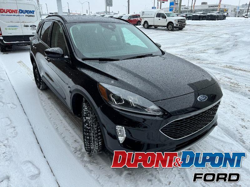 Ford Escape 6