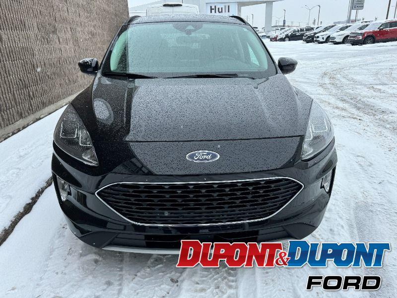 Ford Escape 7