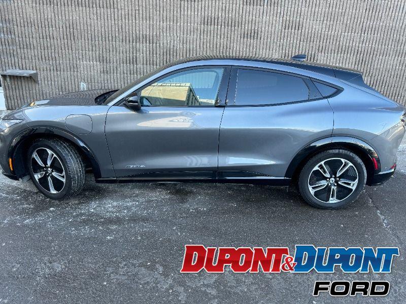 Ford Mustang Mach-e 2