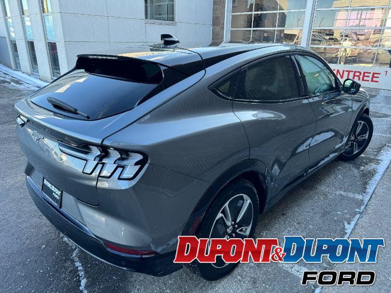 Ford Mustang Mach-e 5