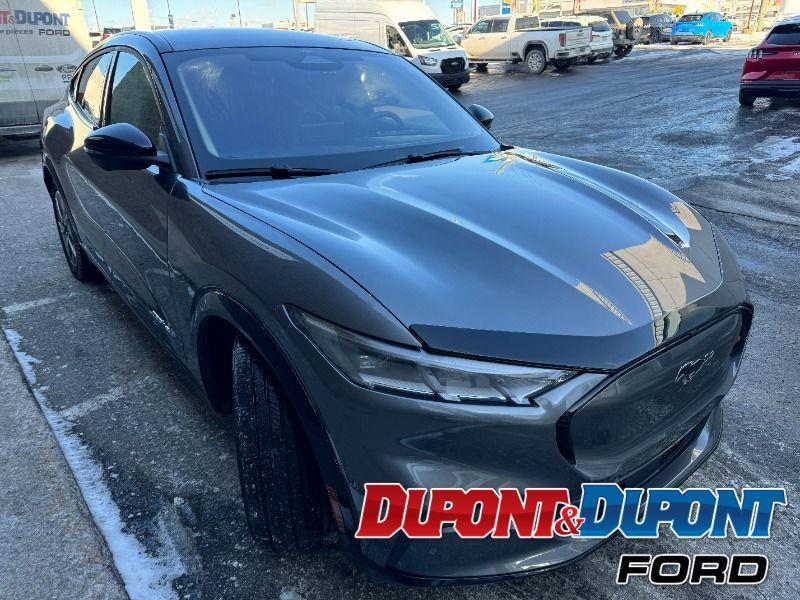 Ford Mustang Mach-e 6