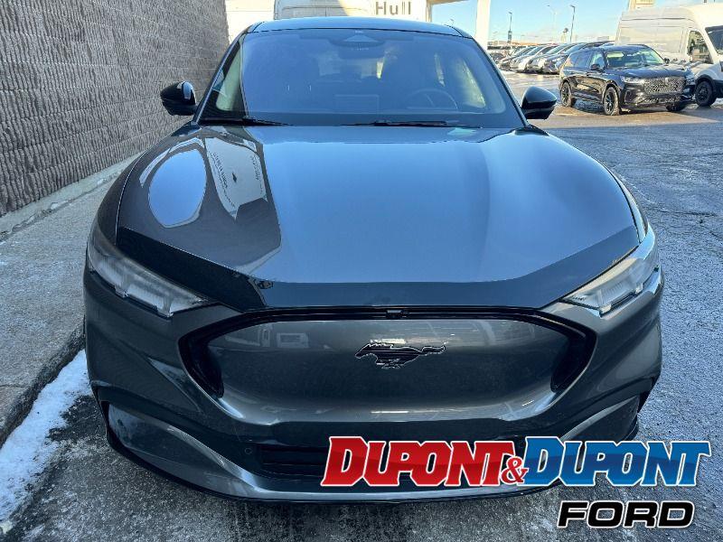 Ford Mustang Mach-e 7