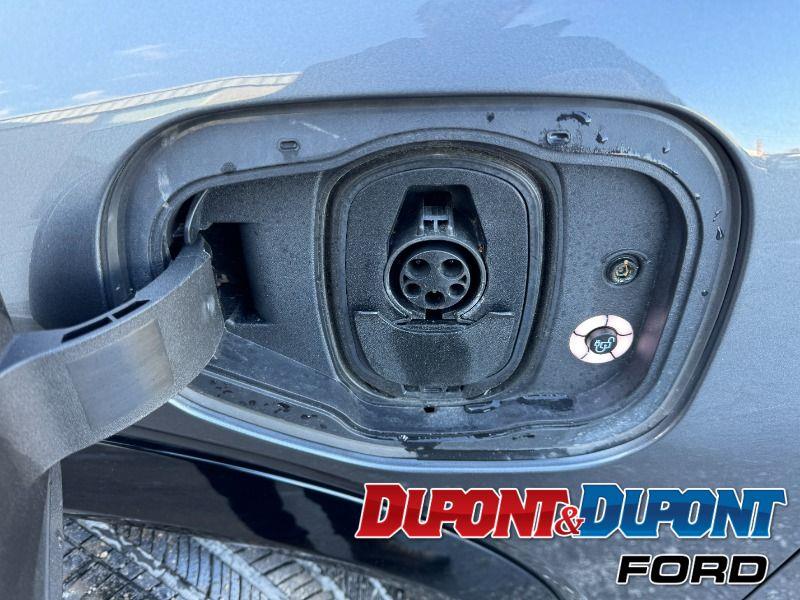 Ford Mustang Mach-e 9