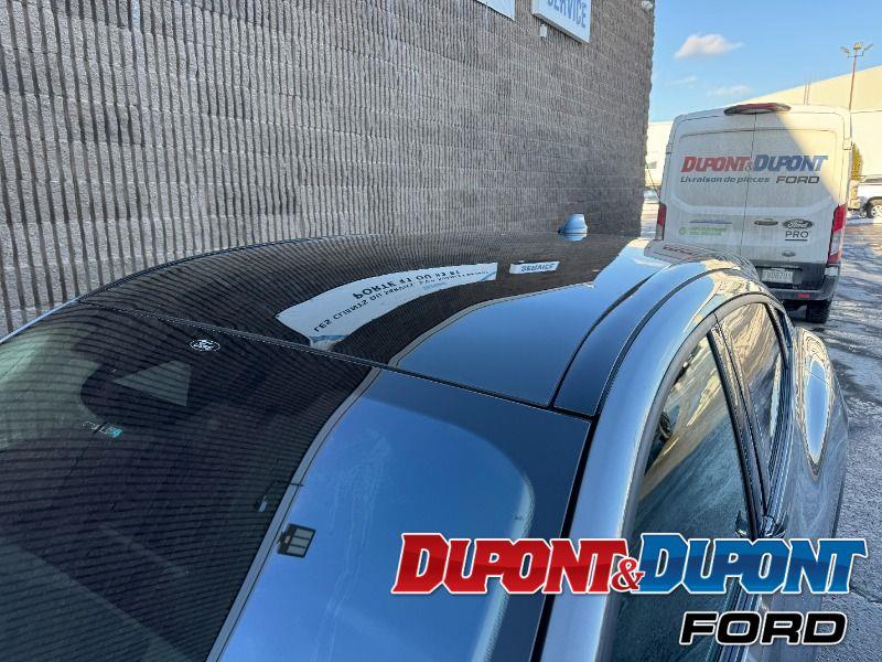 Ford Mustang Mach-e 11