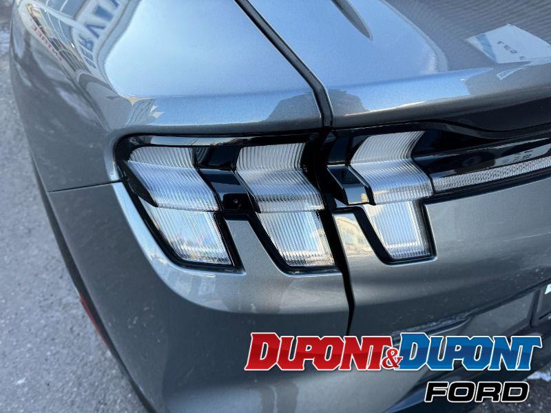 Ford Mustang Mach-e 13