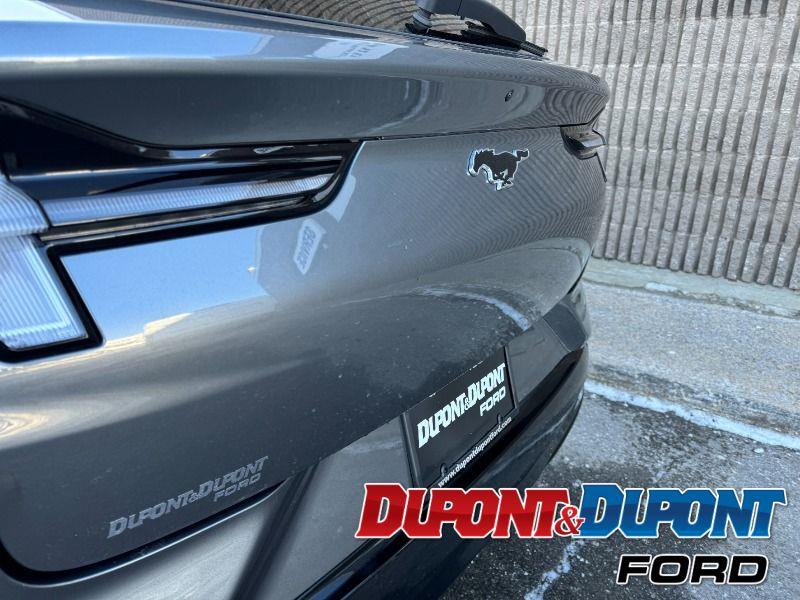 Ford Mustang Mach-e 14