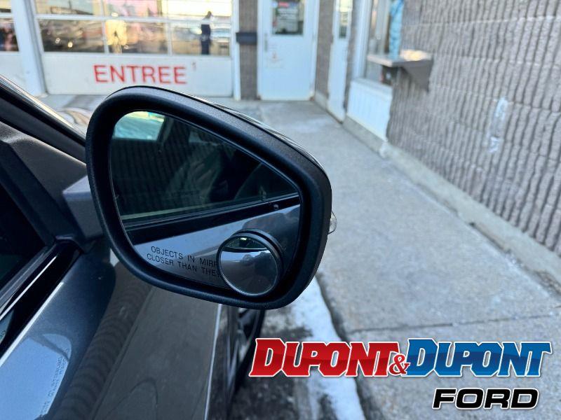 Ford Mustang Mach-e 15