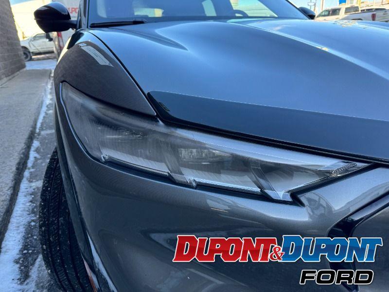 Ford Mustang Mach-e 16