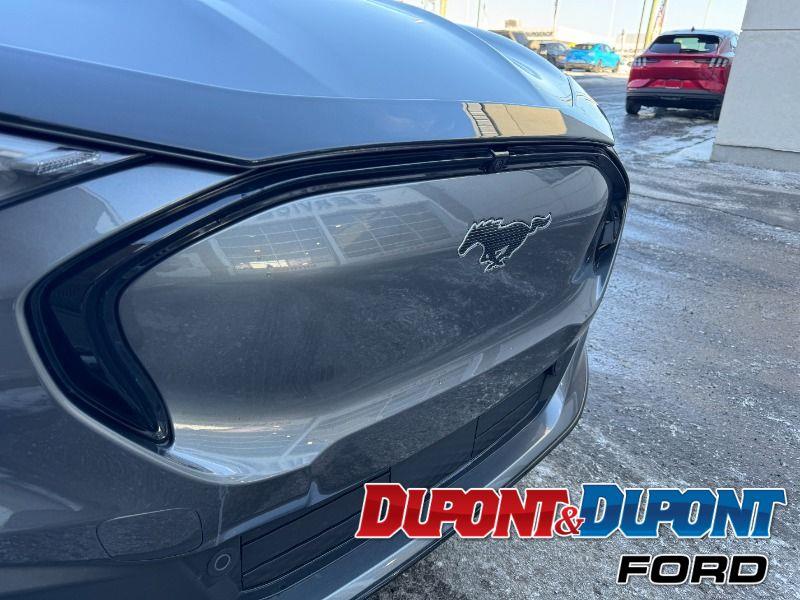 Ford Mustang Mach-e 17