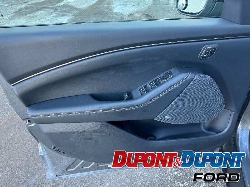 Ford Mustang Mach-e 18