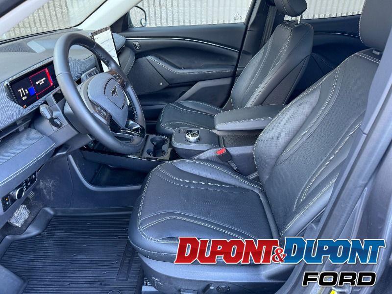 Ford Mustang Mach-e 19