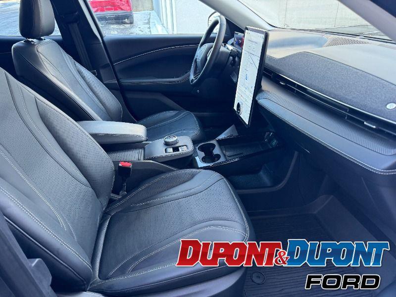 Ford Mustang Mach-e 26