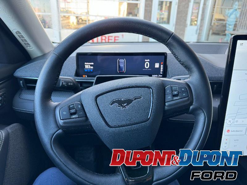 Ford Mustang Mach-e 29